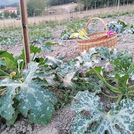 Вилла Agriturismo Dei Legi San Pietro Vara Экстерьер фото