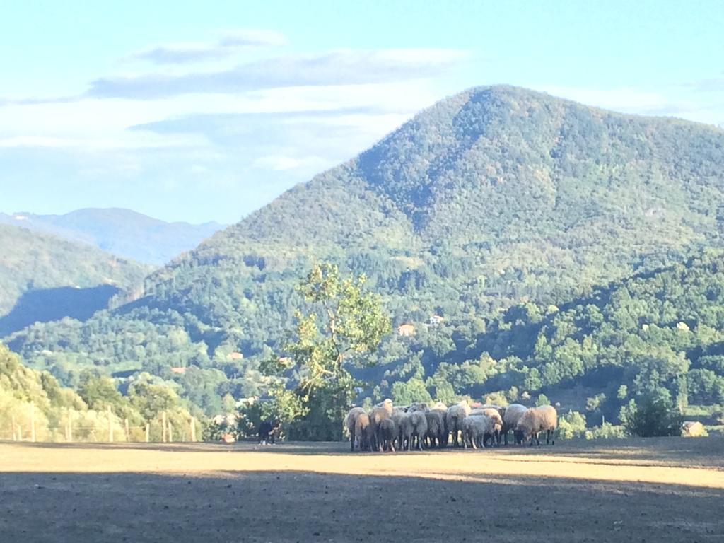 Вилла Agriturismo Dei Legi San Pietro Vara Экстерьер фото