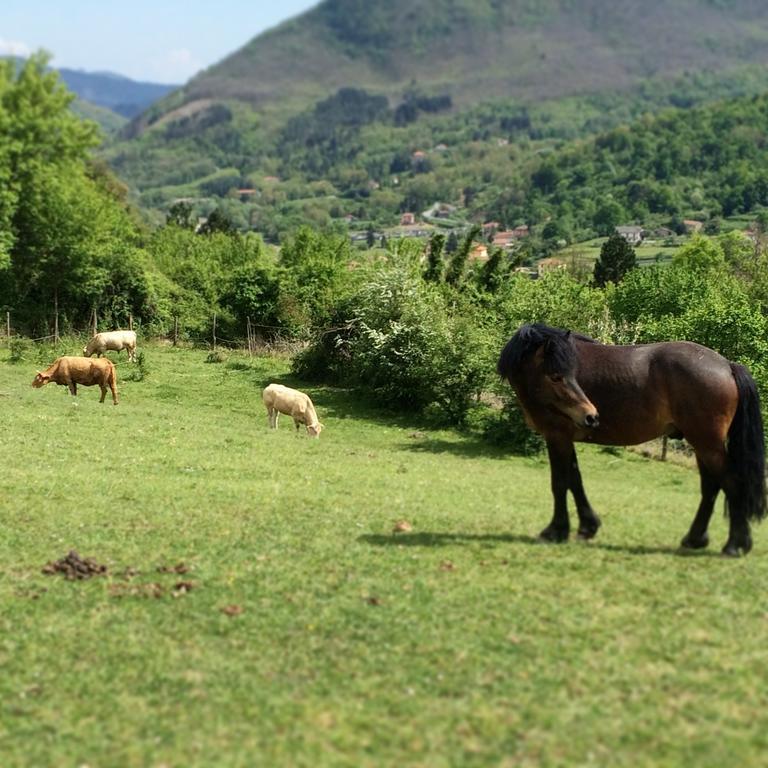 Вилла Agriturismo Dei Legi San Pietro Vara Экстерьер фото