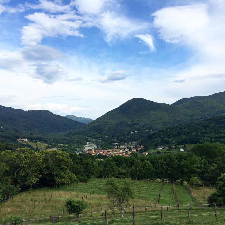 Вилла Agriturismo Dei Legi San Pietro Vara Экстерьер фото