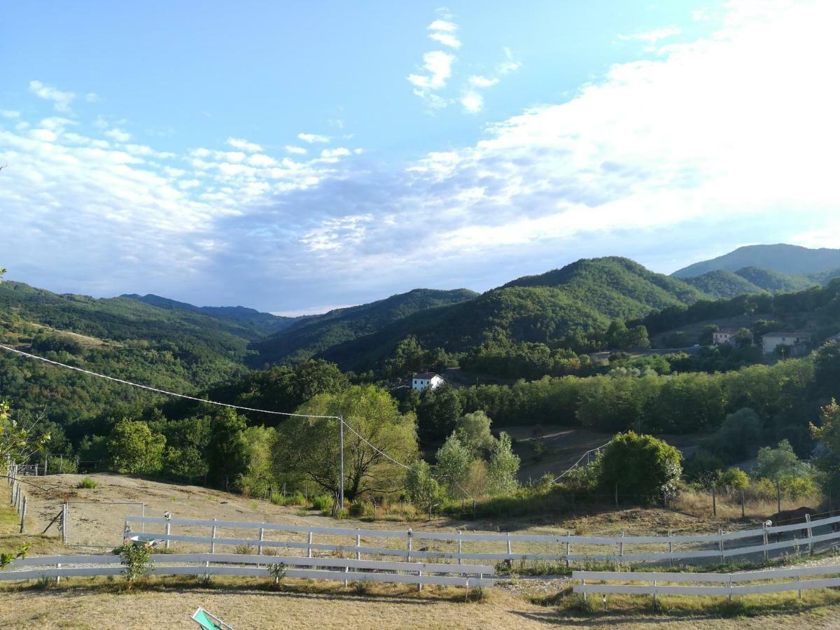 Вилла Agriturismo Dei Legi San Pietro Vara Экстерьер фото