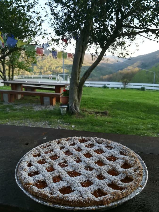 Вилла Agriturismo Dei Legi San Pietro Vara Экстерьер фото