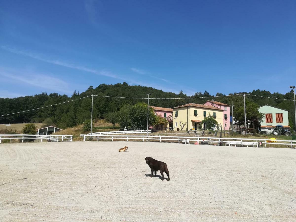 Вилла Agriturismo Dei Legi San Pietro Vara Экстерьер фото